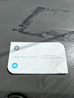 English Speaking Vet
