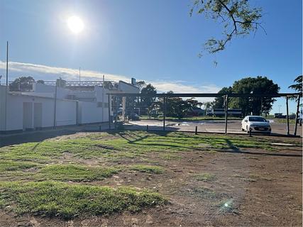 Espaço livre para estacionar com árvores