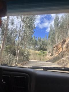 Estrada para o Lago 513