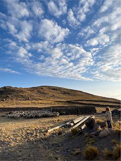 Farmyard