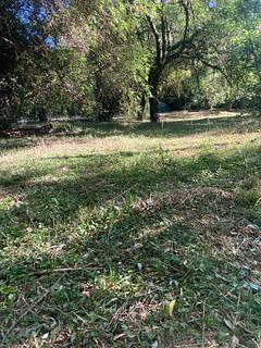 Fim do parque