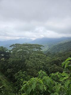 Finca Almawayki