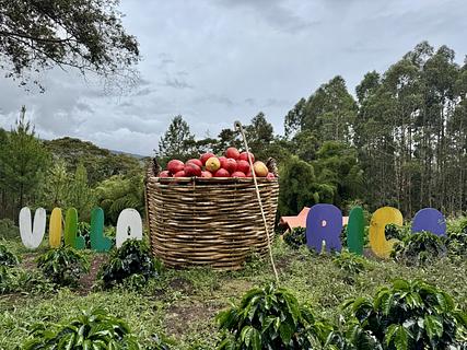 Finca Aroma de Montana
