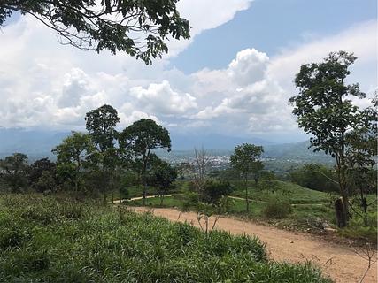 Finca El Piura