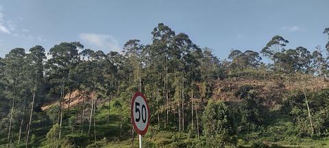 Finca Juan