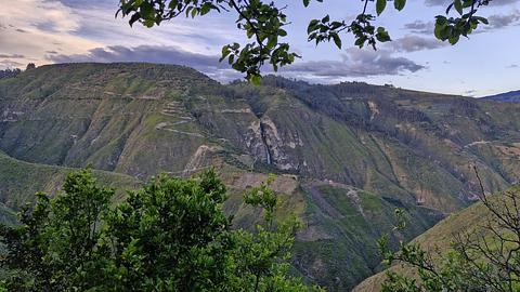Finca "La Bachita"