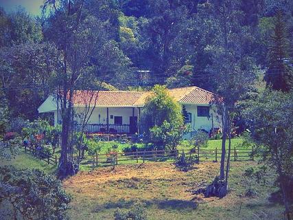 Finca La Mesa
