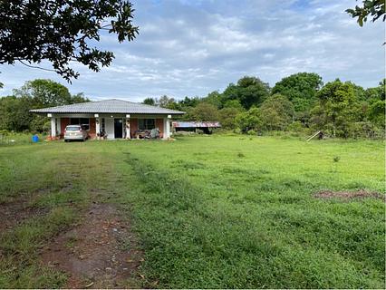 Finca Pilaju