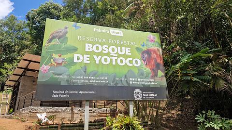 Floresta Bosque de Yotoco