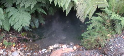 Fonte de água quente ao lado da estrada