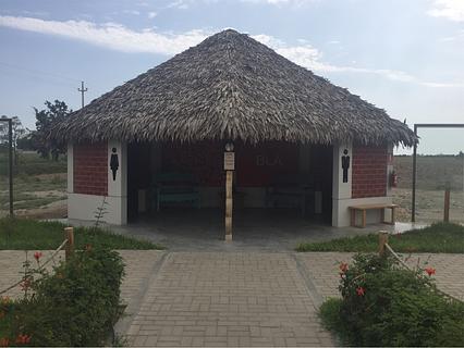Food Oasis