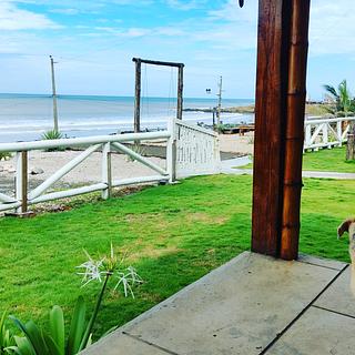 Free Spirit Hostel
