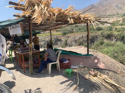 Frutas de familia Salinas