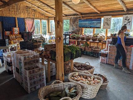 Frutas e vegetais