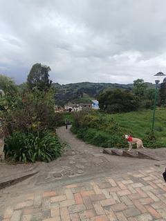 Fuente antigua