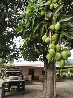 Gigante. El Recreo