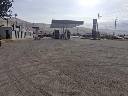 Grifo REPSOL