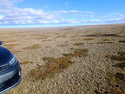 Guanaco Flats
