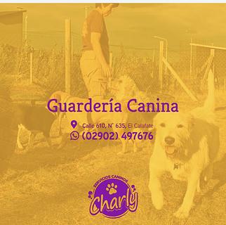 Guarderia Canina Charly