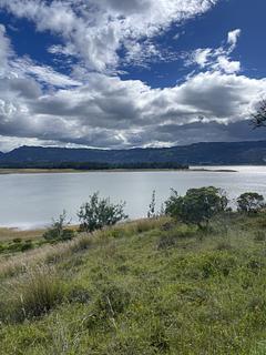 Guatavita El bosque