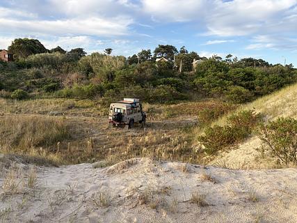 Guazuvira nuevo