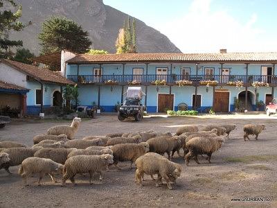 Hacienda La Florida