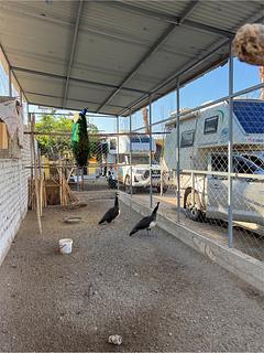 Hospedaje Los Cocos