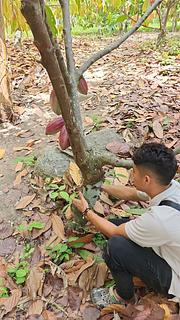 Hostal Flor Tayrona