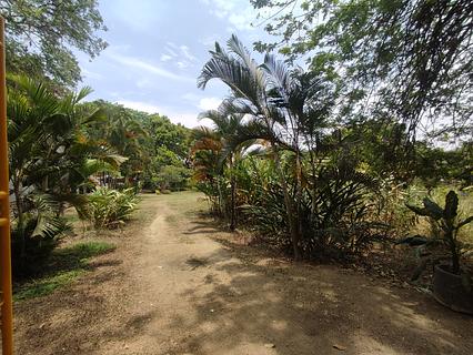 Hostal Las Palmas