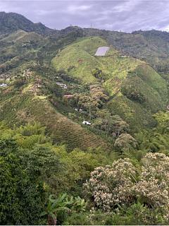 Hostal nature green