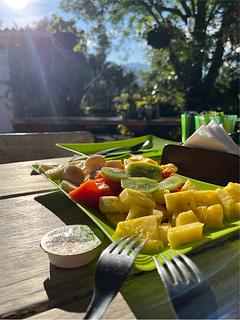 Hotel Selva Verde