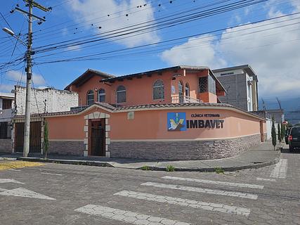 Imbavet