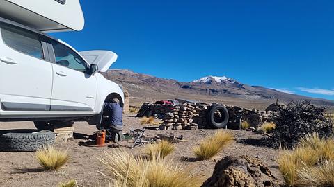 Joni Mechanic