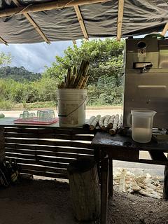 Jugo de Caña