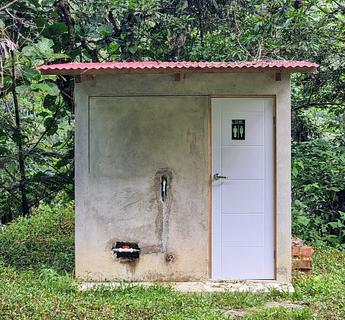 Jungle Bathroom