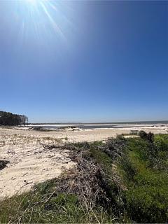 Kitespot