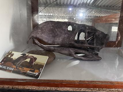Lá Torenta Museum