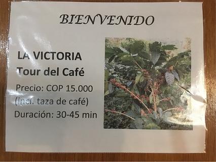 La Victoria coffee plantation