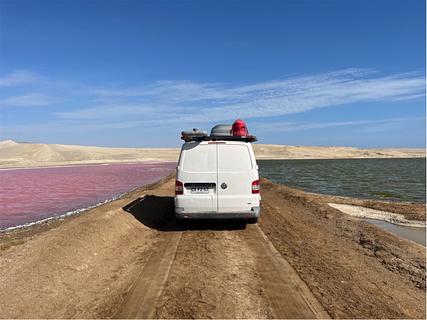 Lagoa rosa neon