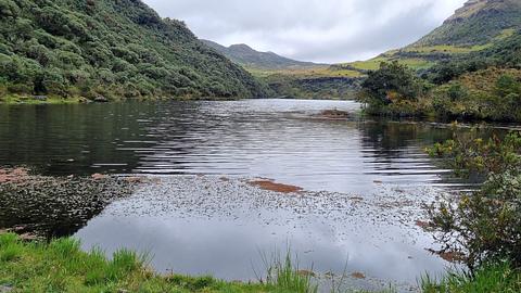 Laguna Negra