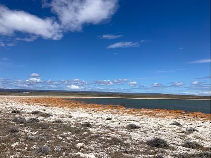 Laguna Stromatolite Walkway