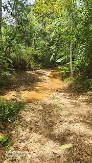 Las Cascadas