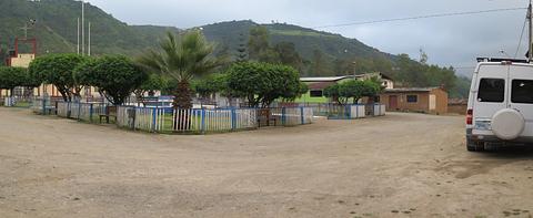 Limon De Porcuya