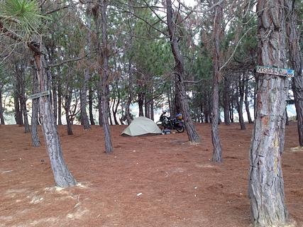 Los Pinos
