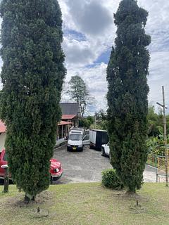 Los Valtos