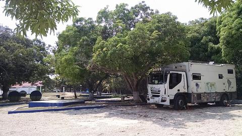 Manglar de las Garzas - FOE