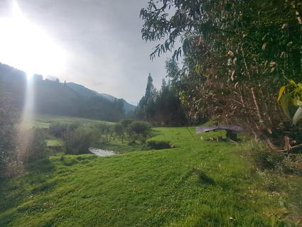 Meadow riverside