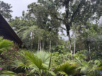 Mindo Gardens