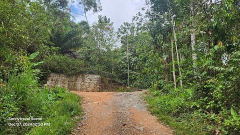 Mindo Hermit Trail Head/Recepción