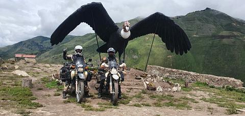 Mirador Condor Purina, Nariz del Diablo